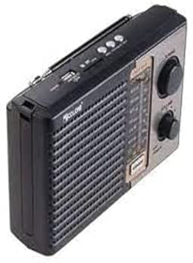 Radio Golon F10 / Inputs: memory, flash, for earphone/FM/AM/SW waves/classic attractive shape/strong sound/telescopic aerial/shoulder strap for carry/powered by electricity or stones